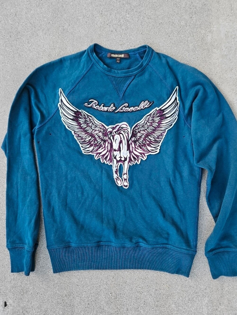 Like New ROBERT CAVALLI Blue Sweater Pegasus Graphic Patch Made In Italy Small